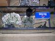 20 Gallon Long Tank w/ extras