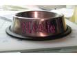Have you pet's name on there very own bowl.