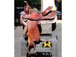 Circle Y Western Show Saddle