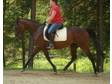 Great EventerHunter prospect very calm