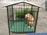 DOG CAGE (HEAVY DUTY) BRAND NEW