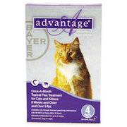 Buy Advantage for Cats - Flea Control for Cats