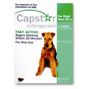 Buy Capstar for Dogs - Flea Treatment Tablet