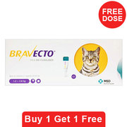 Bravecto Spot On for Cats| Bravecto Spot On Treatments For Cats