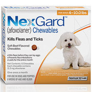 Buy nexgard  for small dog