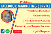 I will do facebook marketing on your business and any product