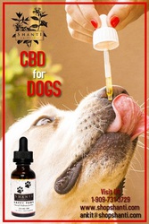 Cbd for Dogs