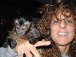 Adorable Baby Capychin Monkey For Adoption