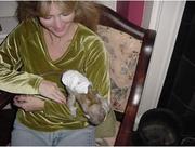 OUTSTANDING AND LOVELY CAPUCHIN MONKEYS FOR ADOPTION